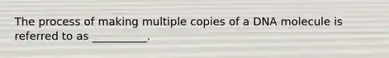 The process of making multiple copies of a DNA molecule is referred to as __________.