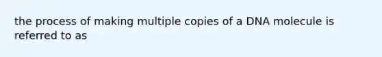 the process of making multiple copies of a DNA molecule is referred to as