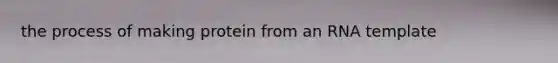 the process of making protein from an RNA template