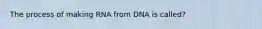 The process of making RNA from DNA is called?