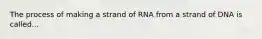 The process of making a strand of RNA from a strand of DNA is called...