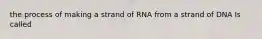 the process of making a strand of RNA from a strand of DNA Is called