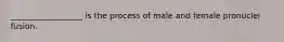 __________________ is the process of male and female pronuclei fusion.