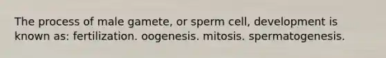 The process of male gamete, or sperm cell, development is known as: fertilization. oogenesis. mitosis. spermatogenesis.