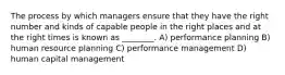 The process by which managers ensure that they have the right number and kinds of capable people in the right places and at the right times is known as ________. A) performance planning B) human resource planning C) performance management D) human capital management