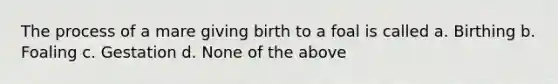 The process of a mare giving birth to a foal is called a. Birthing b. Foaling c. Gestation d. None of the above