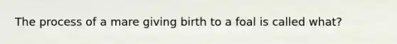 The process of a mare giving birth to a foal is called what?