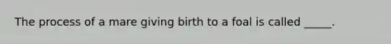 The process of a mare giving birth to a foal is called _____.