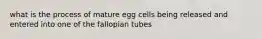 what is the process of mature egg cells being released and entered into one of the fallopian tubes