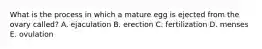 What is the process in which a mature egg is ejected from the ovary called? A. ejaculation B. erection C. fertilization D. menses E. ovulation