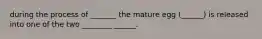 during the process of _______ the mature egg (______) is released into one of the two ________ ______.