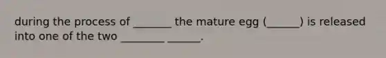 during the process of _______ the mature egg (______) is released into one of the two ________ ______.