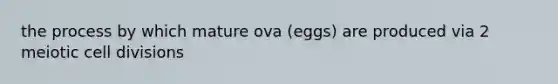 the process by which mature ova (eggs) are produced via 2 meiotic cell divisions