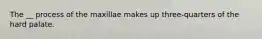 The __ process of the maxillae makes up three-quarters of the hard palate.
