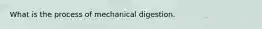 What is the process of mechanical digestion.