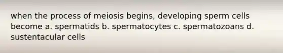 when the process of meiosis begins, developing sperm cells become a. spermatids b. spermatocytes c. spermatozoans d. sustentacular cells