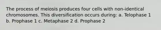 The process of meiosis produces four cells with non-identical chromosomes. This diversification occurs during: a. Telophase 1 b. Prophase 1 c. Metaphase 2 d. Prophase 2