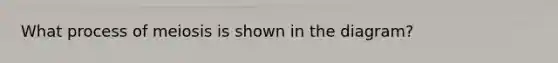 What process of meiosis is shown in the diagram?