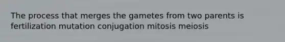 The process that merges the gametes from two parents is fertilization mutation conjugation mitosis meiosis