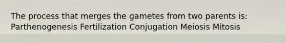 The process that merges the gametes from two parents is: Parthenogenesis Fertilization Conjugation Meiosis Mitosis