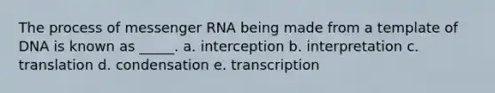 The process of <a href='https://www.questionai.com/knowledge/kDttgcz0ig-messenger-rna' class='anchor-knowledge'>messenger rna</a> being made from a template of DNA is known as _____. a. interception b. interpretation c. translation d. condensation e. transcription