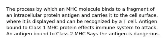 The process by which an MHC molecule binds to a fragment of an intracellular protein antigen and carries it to the cell surface, where it is displayed and can be recognized by a T cell. Antigen bound to Class 1 MHC protein effects immune system to attack. An antigen bound to Class 2 MHC Says the antigen is dangerous.