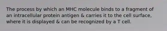 The process by which an MHC molecule binds to a fragment of an intracellular protein antigen & carries it to the cell surface, where it is displayed & can be recognized by a T cell.