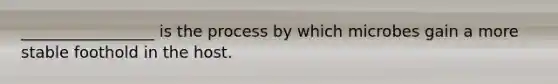 _________________ is the process by which microbes gain a more stable foothold in the host.