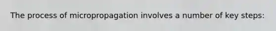 The process of micropropagation involves a number of key steps: