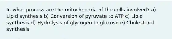 In what process are the mitochondria of the cells involved? a) Lipid synthesis b) Conversion of pyruvate to ATP c) Lipid synthesis d) Hydrolysis of glycogen to glucose e) Cholesterol synthesis