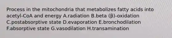 Process in the mitochondria that metabolizes fatty acids into acetyl-CoA and energy A.radiation B.beta (β)-oxidation C.postabsorptive state D.evaporation E.bronchodilation F.absorptive state G.vasodilation H.transamination