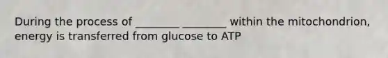 During the process of ________ ________ within the mitochondrion, energy is transferred from glucose to ATP