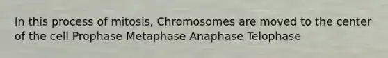 In this process of mitosis, Chromosomes are moved to the center of the cell Prophase Metaphase Anaphase Telophase