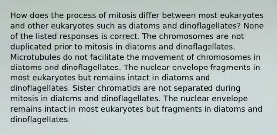 How does the process of mitosis differ between most eukaryotes and other eukaryotes such as diatoms and dinoflagellates? None of the listed responses is correct. The chromosomes are not duplicated prior to mitosis in diatoms and dinoflagellates. Microtubules do not facilitate the movement of chromosomes in diatoms and dinoflagellates. The nuclear envelope fragments in most eukaryotes but remains intact in diatoms and dinoflagellates. Sister chromatids are not separated during mitosis in diatoms and dinoflagellates. The nuclear envelope remains intact in most eukaryotes but fragments in diatoms and dinoflagellates.