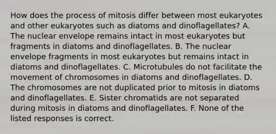 How does the process of mitosis differ between most eukaryotes and other eukaryotes such as diatoms and dinoflagellates? A. The nuclear envelope remains intact in most eukaryotes but fragments in diatoms and dinoflagellates. B. The nuclear envelope fragments in most eukaryotes but remains intact in diatoms and dinoflagellates. C. Microtubules do not facilitate the movement of chromosomes in diatoms and dinoflagellates. D. The chromosomes are not duplicated prior to mitosis in diatoms and dinoflagellates. E. Sister chromatids are not separated during mitosis in diatoms and dinoflagellates. F. None of the listed responses is correct.