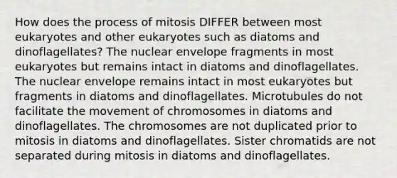 How does the process of mitosis DIFFER between most eukaryotes and other eukaryotes such as diatoms and dinoflagellates? The nuclear envelope fragments in most eukaryotes but remains intact in diatoms and dinoflagellates. The nuclear envelope remains intact in most eukaryotes but fragments in diatoms and dinoflagellates. Microtubules do not facilitate the movement of chromosomes in diatoms and dinoflagellates. The chromosomes are not duplicated prior to mitosis in diatoms and dinoflagellates. Sister chromatids are not separated during mitosis in diatoms and dinoflagellates.