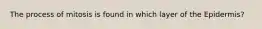 The process of mitosis is found in which layer of the Epidermis?