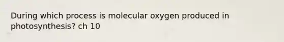 During which process is molecular oxygen produced in photosynthesis? ch 10