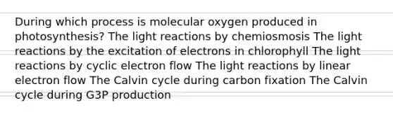 During which process is molecular oxygen produced in photosynthesis? The light reactions by chemiosmosis The light reactions by the excitation of electrons in chlorophyll The light reactions by cyclic electron flow The light reactions by linear electron flow The Calvin cycle during carbon fixation The Calvin cycle during G3P production