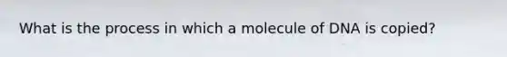 What is the process in which a molecule of DNA is copied?