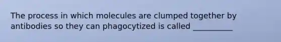 The process in which molecules are clumped together by antibodies so they can phagocytized is called __________