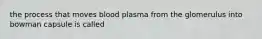 the process that moves blood plasma from the glomerulus into bowman capsule is called