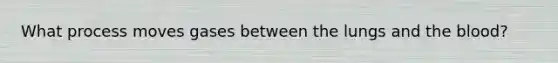 What process moves gases between the lungs and the blood?