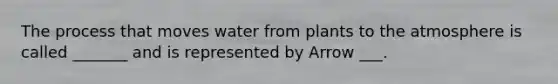 The process that moves water from plants to the atmosphere is called _______ and is represented by Arrow ___.