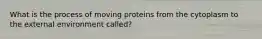 What is the process of moving proteins from the cytoplasm to the external environment called?