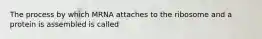 The process by which MRNA attaches to the ribosome and a protein is assembled is called