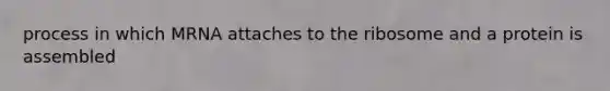 process in which MRNA attaches to the ribosome and a protein is assembled