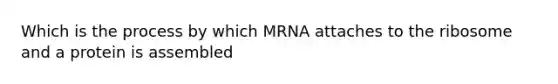 Which is the process by which MRNA attaches to the ribosome and a protein is assembled