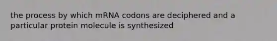 the process by which mRNA codons are deciphered and a particular protein molecule is synthesized