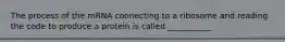 The process of the mRNA connecting to a ribosome and reading the code to produce a protein is called ___________.